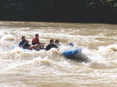 rafting pieniny