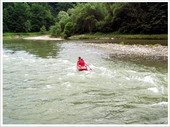 rafting pieniny