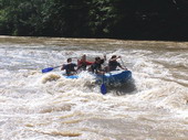 rafting pieniny